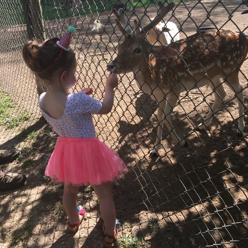 Hot Pink Tutu Skirt